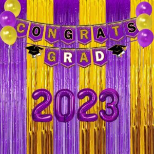 Purple and Gold Party Decoration, Purple Gold Graduation Backdrop 2025, Purple Gold Backdrop Foil Fringe Curtains Photo Streamers for Baby Shower Islamic Eid Mubarak Party Decor (3 Pack)