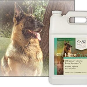 UltraCruz Canine Pure Salmon Oil, 1 Gallon