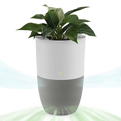 Dupray Bloom™ Air Purifier for Large Rooms with Planter or Custom Accent Table Design | For Home, Bedroom, Office, Dust, Pets | H13 HEPA Air Filtration (Planter, Cloudy Gray)