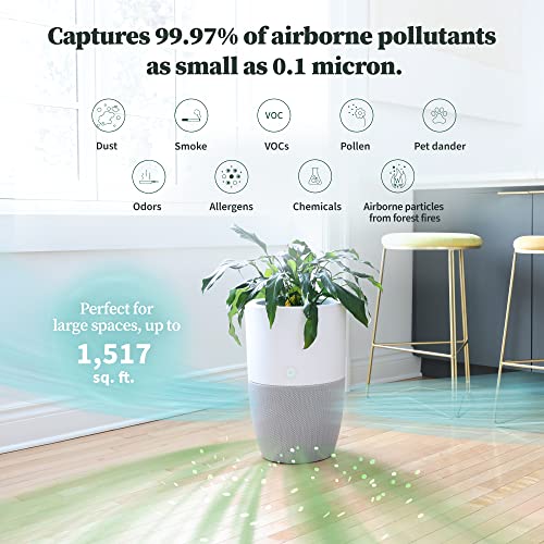 Dupray Bloom™ Air Purifier for Large Rooms with Planter or Custom Accent Table Design | For Home, Bedroom, Office, Dust, Pets | H13 HEPA Air Filtration (Planter, Cloudy Gray)