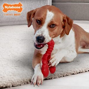 Nylabone Power Chew Lobster Dog Chew Toy, Cute Dog Toys for Aggressive Chewers, Filet Mignon Flavor, X-Large/Souper (1 Count)