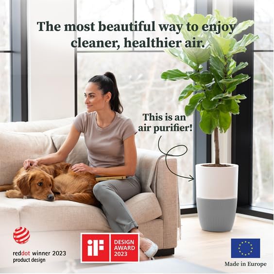 Dupray Bloom™ Air Purifier for Large Rooms with Planter or Custom Accent Table Design | For Home, Bedroom, Office, Dust, Pets | H13 HEPA Air Filtration (Planter, Cloudy Gray)