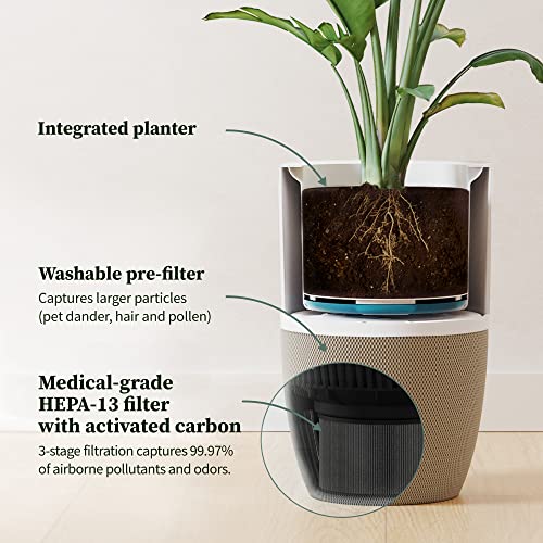 Dupray Bloom™ Air Purifier for Large Rooms with Planter or Custom Accent Table Design | For Home, Bedroom, Office, Dust, Pets | H13 HEPA Air Filtration (Planter, Cloudy Gray)