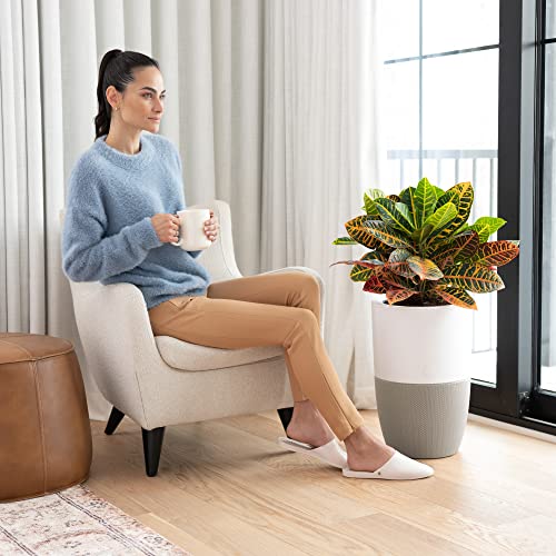 Dupray Bloom™ Air Purifier for Large Rooms with Planter or Custom Accent Table Design | For Home, Bedroom, Office, Dust, Pets | H13 HEPA Air Filtration (Planter, Cloudy Gray)