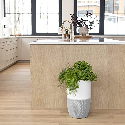 Dupray Bloom™ Air Purifier for Large Rooms with Planter or Custom Accent Table Design | For Home, Bedroom, Office, Dust, Pets | H13 HEPA Air Filtration (Planter, Cloudy Gray)