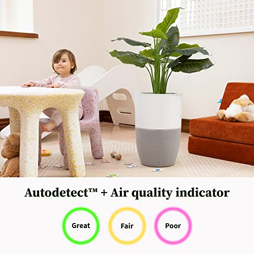 Dupray Bloom™ Air Purifier for Large Rooms with Planter or Custom Accent Table Design | For Home, Bedroom, Office, Dust, Pets | H13 HEPA Air Filtration (Planter, Cloudy Gray)