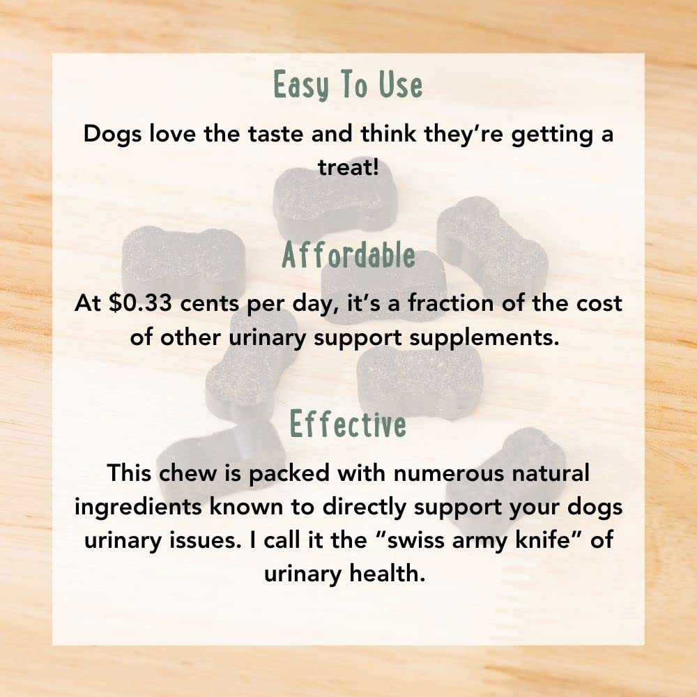 iHeartDogs Extra Strength Urinary, Bladder, & Kidney Support for Dogs – Cranberry, D-Mannose & Echinacea Helps Frequent UTIs, Strengthens Weak & Incontinent Bladder