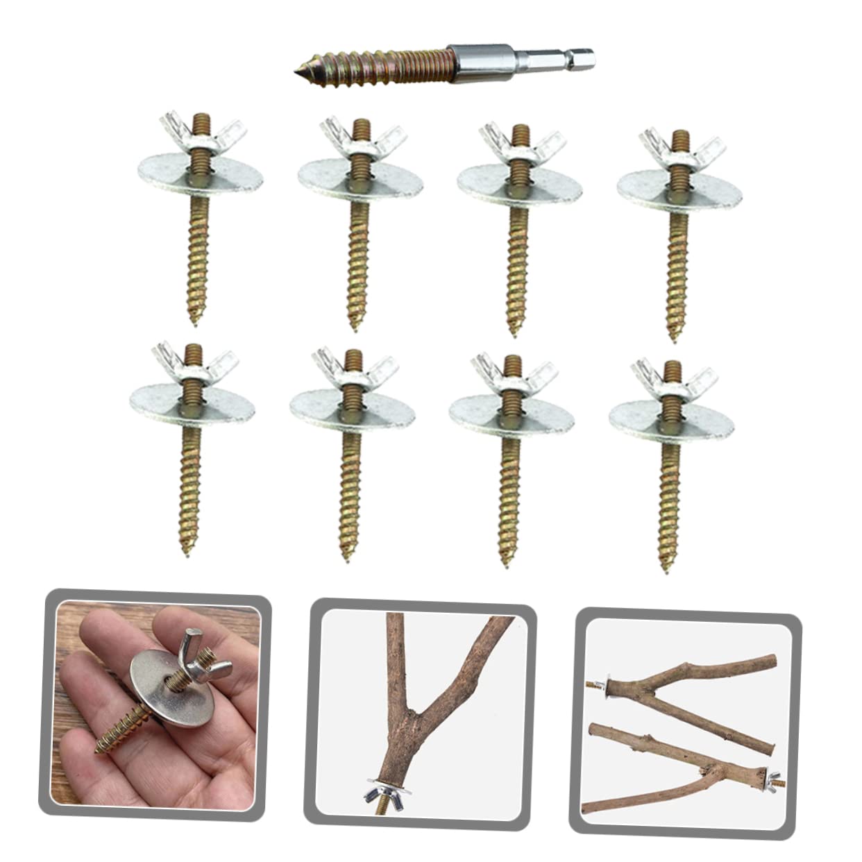 Balacoo 2 Sets Stand Bar Accessories Bird Stand Fixator Birdcage Supplies Hamster Springboard Screws Bird Nest Screws Nut Dog Eye Wipes Hamster Supplies Nuts Metal Chinchilla Screw Bit