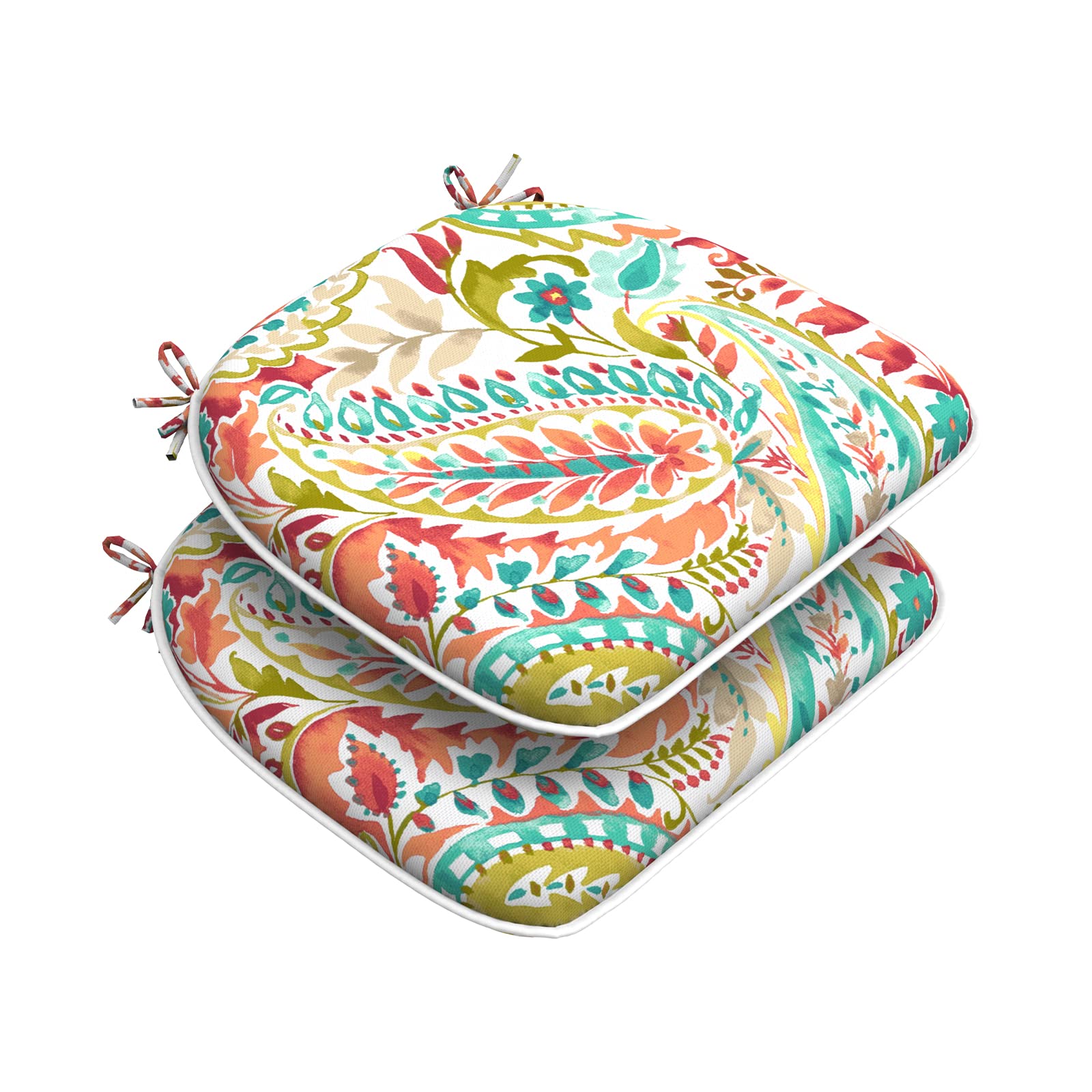 DYTXIII Set of 2 Outdoor Chair Cushions with Ties,Water Repellent Patio Chair Pads 17"x 16" for Outdoor Furniture,Round Corner Seat Cushions for Garden Yard Kitchen Pretty Paisley