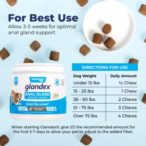 Vetnique Labs Glandex Anal Gland Medicated Spray for Dogs & Cats (4oz) & Glandex Anal Gland Support Chews 60ct Bundle Dog Anti-Itch Spray for Dogs, Anal Gland Dog Treats with Probiotics