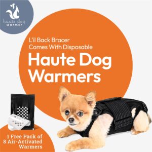 Dog Back Brace with Soothing Heat Warmers for IVDD - Pain Relief for Arthritis - Spinal Surgical Recovery - Herniated & Slipped Disc - Made in USA (Small)