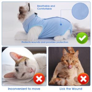 Molain Cat Professional Recovery Suit for Abdominal Wounds or Skin Diseases, After Surgery E-Collar Alternative for Cats Anti Licking Pajama Suit Kittens Surgery Recovery Suit (Blue, M Size)