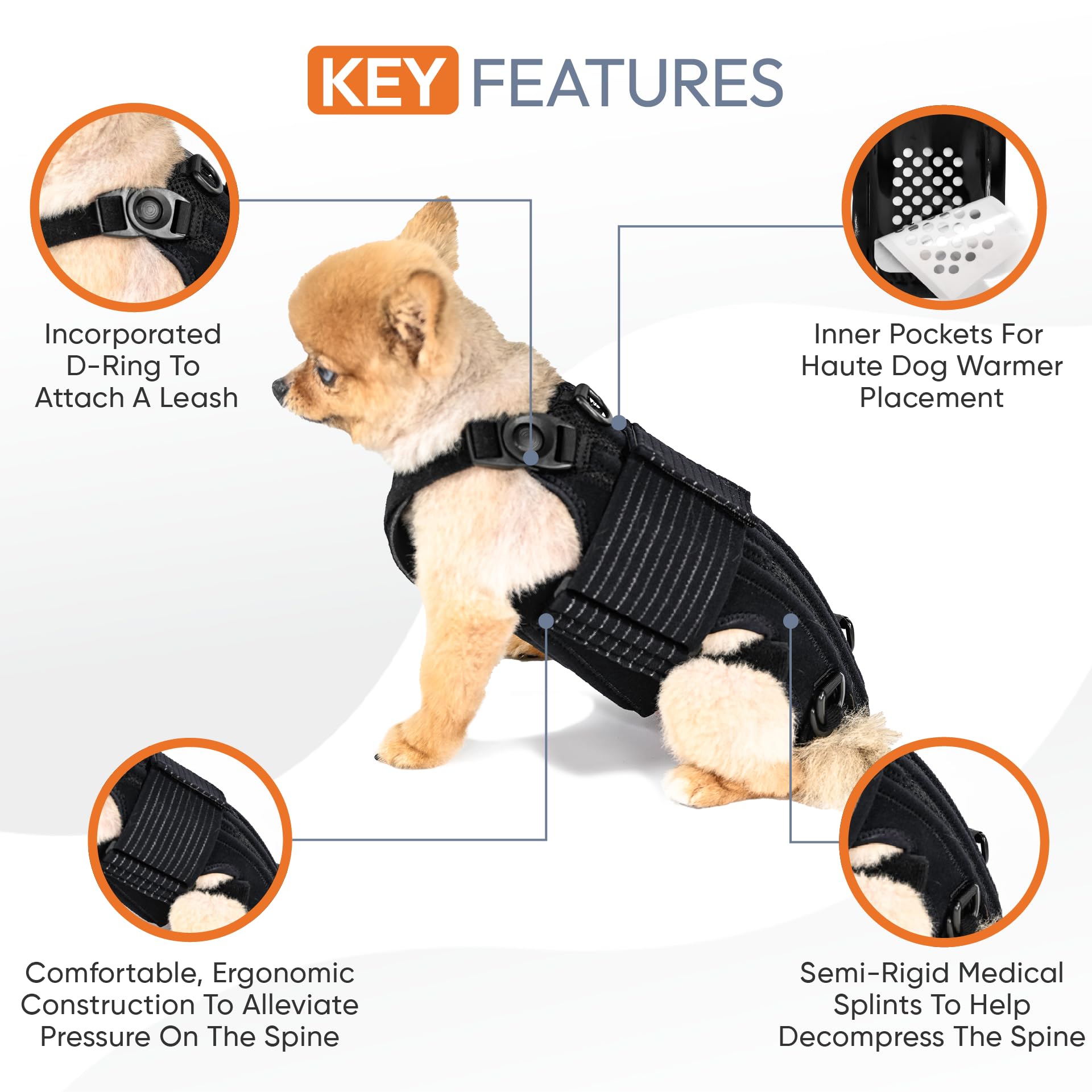 Dog Back Brace with Soothing Heat Warmers for IVDD - Pain Relief for Arthritis - Spinal Surgical Recovery - Herniated & Slipped Disc - Made in USA (Small)