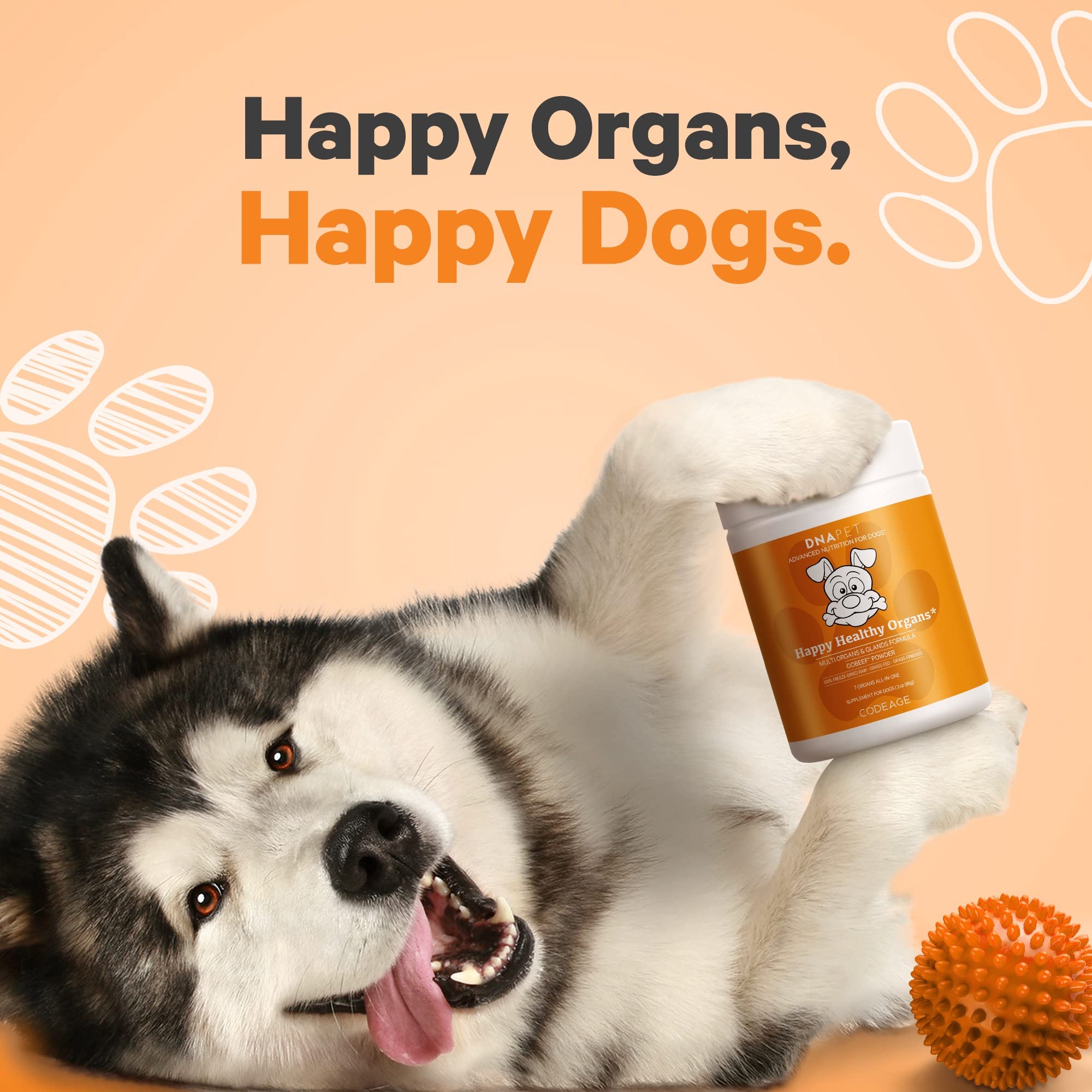 DNA PET Happy Healthy Organs & Glands Supplement for Dogs, Freeze-Dried Raw Grass-Fed Beef Liver Heart Kidney Spleen Pancreas Bone Marrow, Bovine Thymus Multi Organ Powder, Canine Vitamins, 3 oz