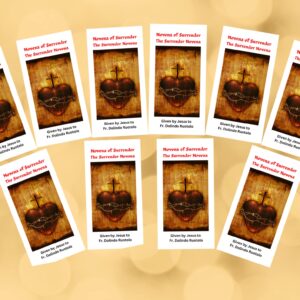 10Pack Novena of Surrender to the Will of God Trifold Holy Card