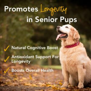 iHeartDogs Senior Super 7 Daily Dog Multivitamin - 7-in-1 Vitamin for Dogs Supports Anti-Aging with Antioxidants, Probiotics, Lion's Mane, Turkey Tail, & Ashwagandha for Longevity & Cognitive Boost