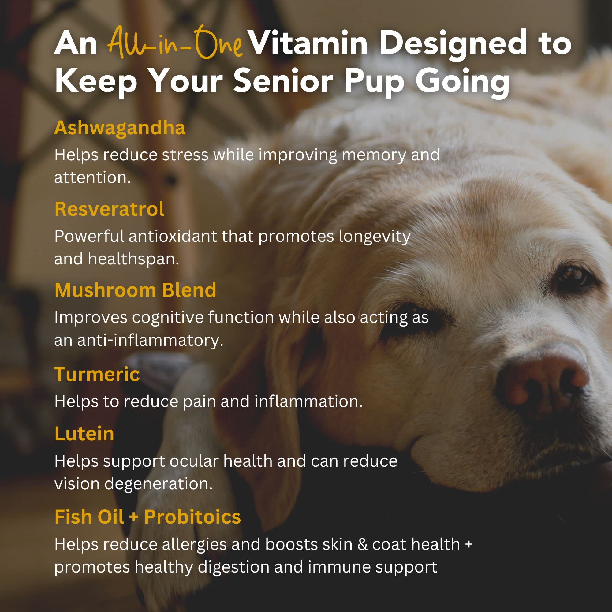 iHeartDogs Senior Super 7 Daily Dog Multivitamin - 7-in-1 Vitamin for Dogs Supports Anti-Aging with Antioxidants, Probiotics, Lion's Mane, Turkey Tail, & Ashwagandha for Longevity & Cognitive Boost