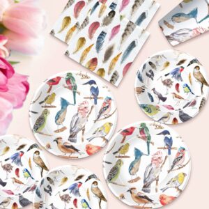 Xigejob Bird Party Tableware Decorations - Bird Plates And Napkins Party Supplies, Plate, Cup, Napkin, Colorful Bird Bridal Baby Shower Birthday Wedding Spring Summer Tea Party Dinnerware | Serve 24