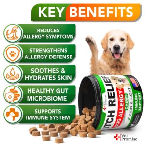 Vet Promise Dog Allergy Chews - Itch Relief for Dogs - Dog Allergy Relief - Anti Itch for Dogs - Dog Itchy Skin - Dog Allergy Support - Hot Spots - Immune Health Supplement - Made in USA - 120 Treats