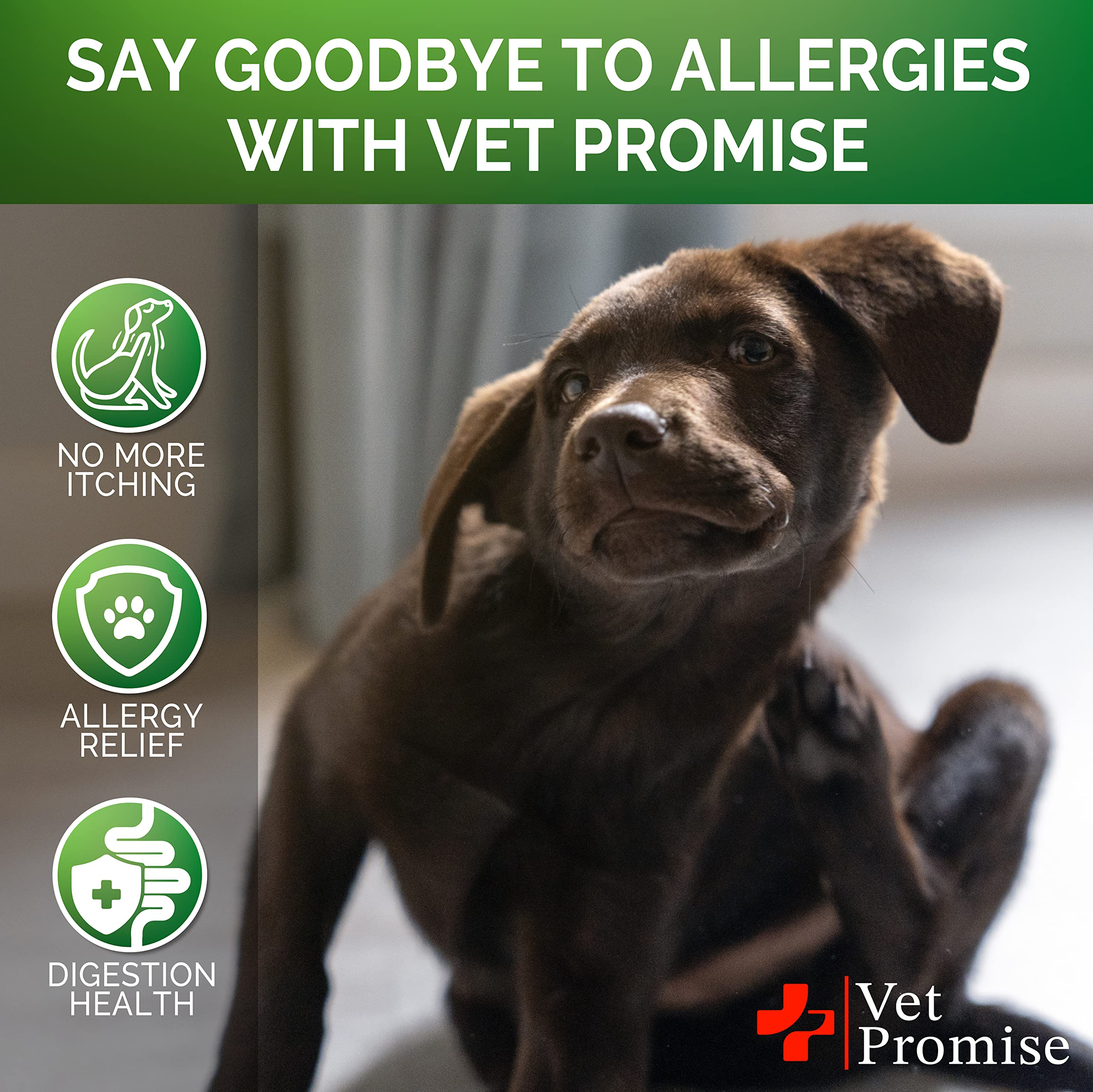 Vet Promise Dog Allergy Chews - Itch Relief for Dogs - Dog Allergy Relief - Anti Itch for Dogs - Dog Itchy Skin - Dog Allergy Support - Hot Spots - Immune Health Supplement - Made in USA - 120 Treats