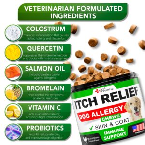 Vet Promise Dog Allergy Chews - Itch Relief for Dogs - Dog Allergy Relief - Anti Itch for Dogs - Dog Itchy Skin - Dog Allergy Support - Hot Spots - Immune Health Supplement - Made in USA - 120 Treats