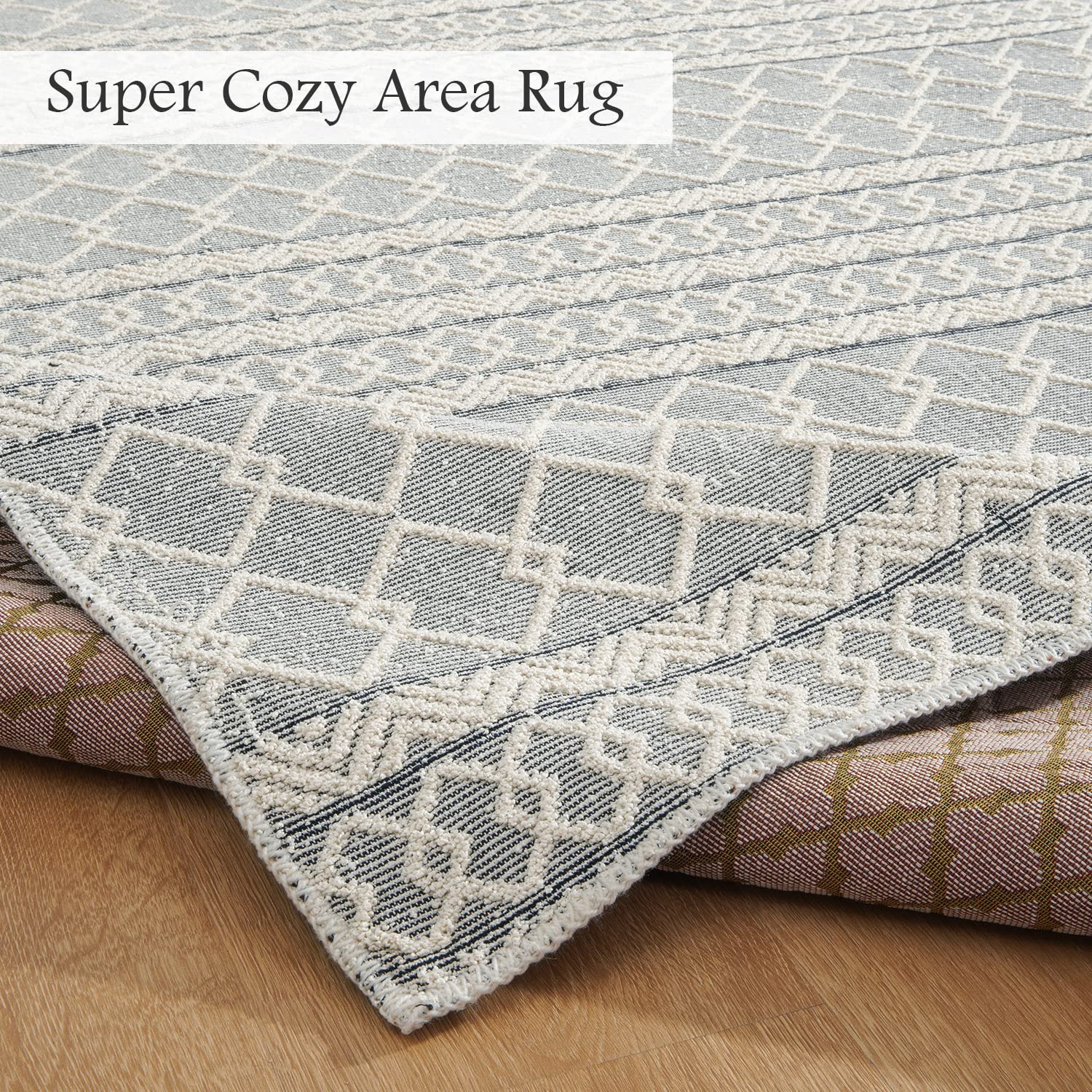 Small 3 x 5 Area Rug, Woven Tufted Boho Door Mat Indoor Entrance Carpet Machine Washable Rugs for Living Room Bedroom Laundry Entryway