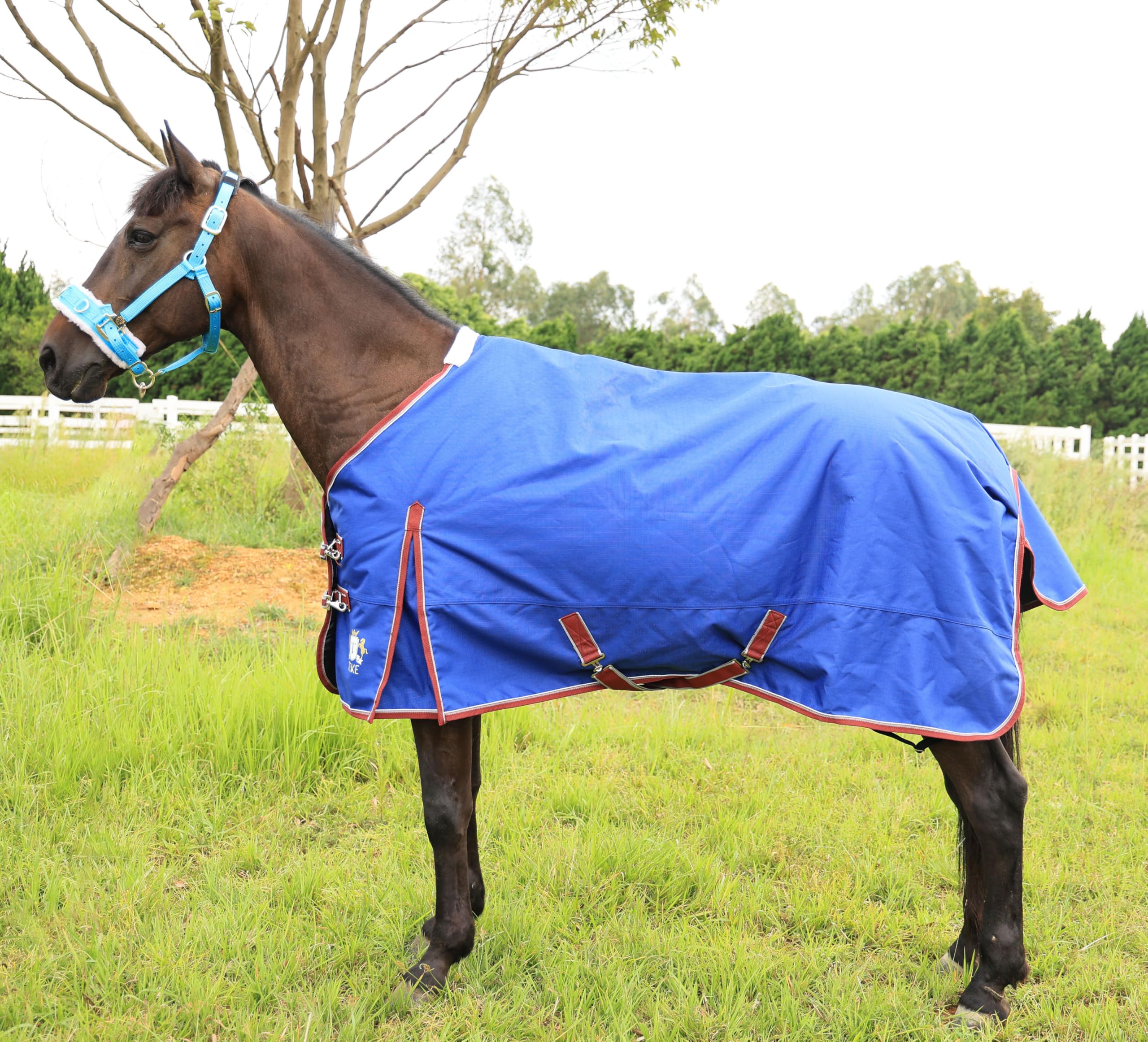 T TEKE Deluxe Turnout Horse Sheets, 1200D Waterproof and Breathable Horse Care Sheets with no Filling (51"-87" Including Miniature/foal Size)