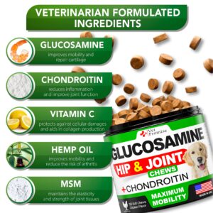 Glucosamine for Dogs - Hip and Joint Supplement for Dogs - Glucosamine Chondroitin for Dogs - Dog Joint Pain Relief - MSM - Hemp Oil - Advanced Support Dog Joint Supplement Health - 120 Mobility Chews