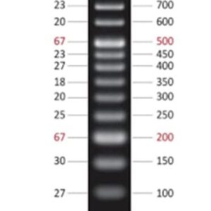 Azura PureView™ 50 bp DNA Ladder 100 Lanes 500µl