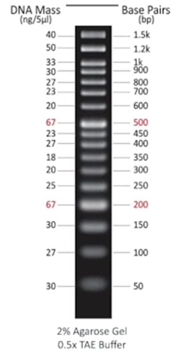 Azura PureView™ 50 bp DNA Ladder 100 Lanes 500µl