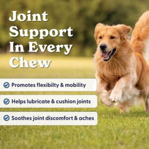 Origin Labs - Revive Mobility Hip & Joint Support Beef Soft Chews for Dogs | Glucosamine Chondroitin MSM & Green Lipped Mussels | Grain & Corn Free, 60 Count