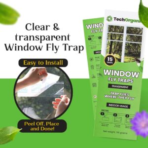 Fly Trap Indoor or Outdoor Usage | Window Fly Traps are Clear & Transparent | Also for Moths, Gnats, Fruit Flies, Spiders and Ants | Easy to Use - Easy to Dispose | Pack of 15