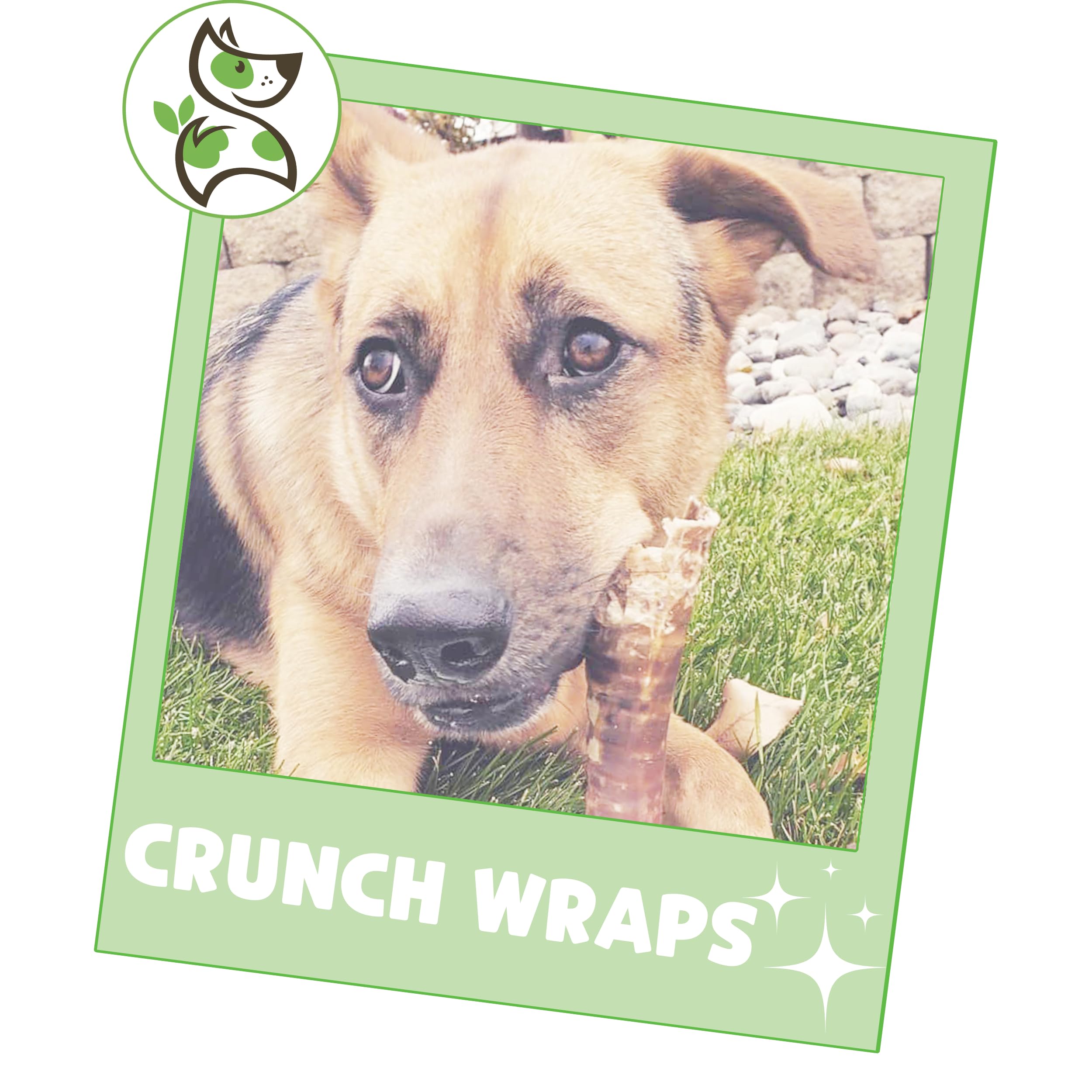 Nature Gnaws Beef Trachea Crunch Wraps for Dogs (3 Count) - Long Lasting Natural Beef Jerky Dog Chew Bones - Rawhide Free