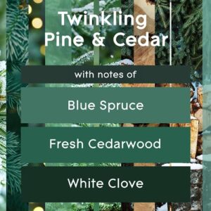 Glade Candle Twinkling Pine & Cedar, Fragrance Candle Infused with Essential Oils, Air Freshener Candle, 3-Wick Candle, 6.8 Oz