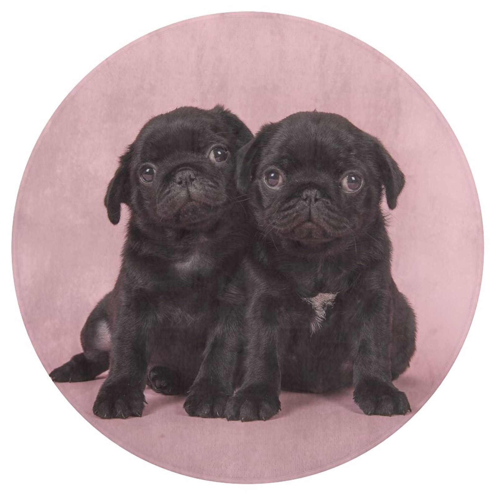 KiuLoam Cute Black Pug Dog Rug Non-Slip Round Area Rug for Bedroom Living Room Study Playing, Sofa Nursery Carpet Floor Mat,80 x 80cm Round