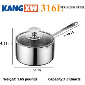 KANGXW 316L Stainless Steel Saucepans, 1.0 Quart Pan, With Pour Spout and Filter Glass Lid, Boiling Milk Pots, Sauce, Gravy, Butter Melting Pot(1.0qt)