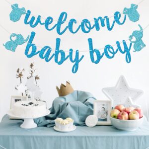 Welcome Baby Boy Banner, Pre-strung Baby Shower Banner, It's A Boy Decorations, Baby Boy Shower Decorations, Blue Glitter