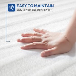 Sealy Heated Mattress Pad Full Size with 10 Heated Settings | Electric Mattress Pad Bed Warmer 54"x75" | Auto Shut Off 1-9 Hours| Fit Up to 15 Inch Deep Pocket | Machine Washable