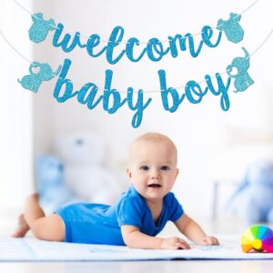 Welcome Baby Boy Banner, Pre-strung Baby Shower Banner, It's A Boy Decorations, Baby Boy Shower Decorations, Blue Glitter