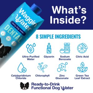 Waggin Water Dental Fortified Water Supplement for Dogs - Daily Dog Dental Treat to Help Clean Teeth and Freshen Breath - Flavorless, 6ct