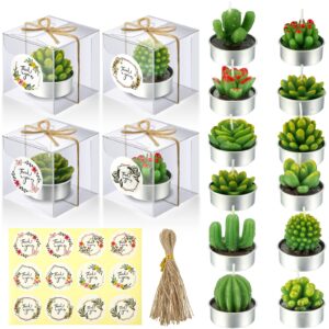 qunclay 12 sets succulent cactus candle mini succulent tealight candle for gift smokeless small plant candle for christmas birthday wedding party gift anniversary celebration spa home decor