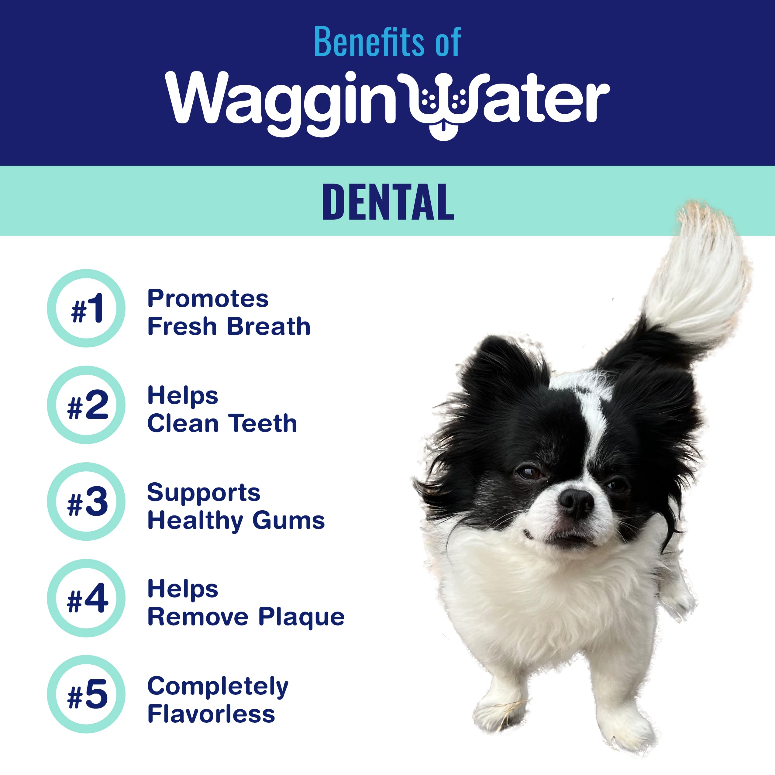 Waggin Water Dental Fortified Water Supplement for Dogs - Daily Dog Dental Treat to Help Clean Teeth and Freshen Breath - Flavorless, 6ct