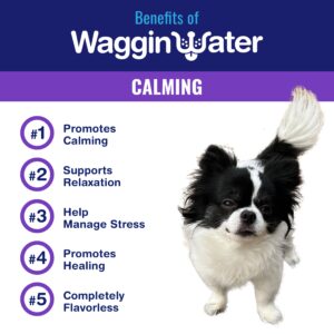 Waggin Water Calming Fortified Water Supplement for Dogs - Promotes Calming, Healing, and Relaxation with Melatonin - Flavorless, 6ct