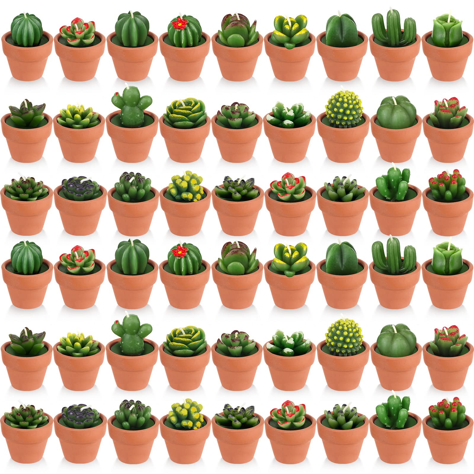 Lounsweer 60 Pcs Succulent Candles Bulk Decorative Cactus Tealight Candle Novelty Tea Lights Handmade Baby Shower Candle Decoration Plant Candle with Mini Terracotta Clay Candle Holders for Wedding