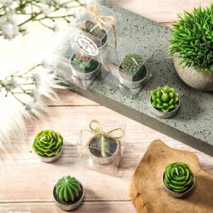 Qunclay 12 Sets Succulent Cactus Candle Mini Succulent Tealight Candle for Gift Smokeless Small Plant Candle for Christmas Birthday Wedding Party Gift Anniversary Celebration Spa Home Decor