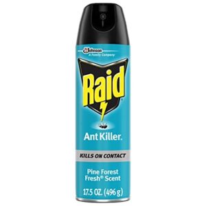 Raid Ant Killer Spray Pine Forest 17.5 Ounce (Pack of 3)