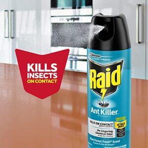 Raid Ant Killer Spray Pine Forest 17.5 Ounce (Pack of 3)