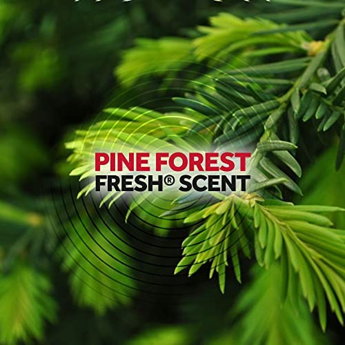 Raid Ant Killer Spray Pine Forest 17.5 Ounce (Pack of 3)