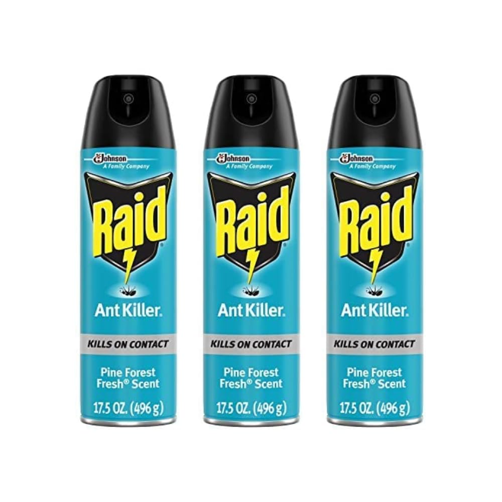 Raid Ant Killer Spray Pine Forest 17.5 Ounce (Pack of 3)