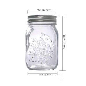 Hovico Mason Jars 17 oz With Regular Lids and Bands, Ideal for Jam,Dishwasher Safe Mason Jar for Fermenting, Kombucha, Kefir, Storing and Canning Uses, Clear- Set of 6